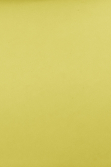 Japanese Cotton Poplin in Yellow0