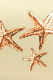 Valentino Silk Blend Zibelline Starfish Panel0