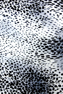 Silk Charmeuse in Snowy Leopard Print0