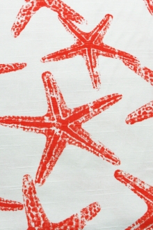 Cotton Canvas Starfish Print0