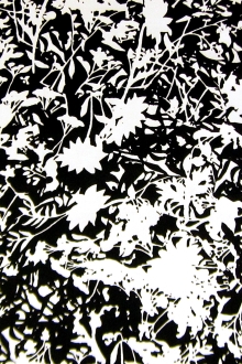 Printed Silk Charmeuse with Black and White Floral Silhouettes0