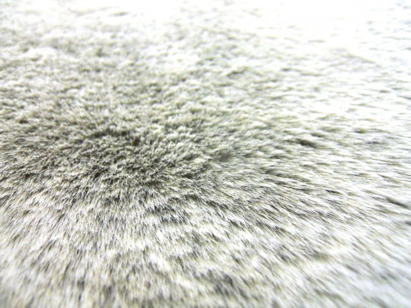 Sochi Sable Faux Fur in Silver Frost1