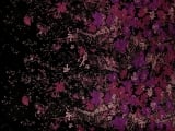 Polyester Twill with Metallic Abstract Floral Border0