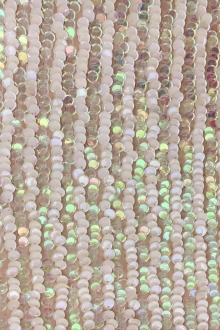 Rows of Opalescent and Ivory Pailettes on Silk Chiffon0