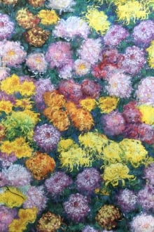 Monets Garden Cotton Broadcloth Digital Print0