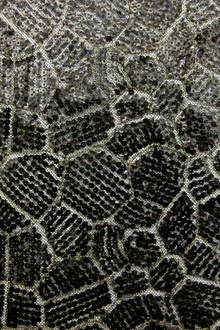 Micro Sequins on Metallic Embroidered Tulle0