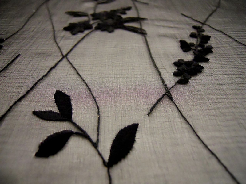 Embroidered Silk Chiffon2