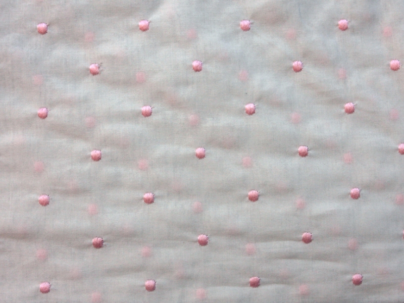 Cotton Voile Embroidery0