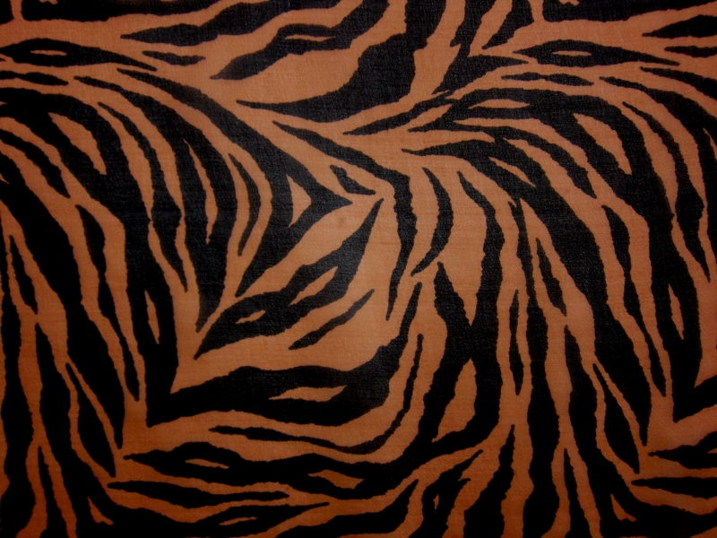 Silk Chiffon in Tiger Print0