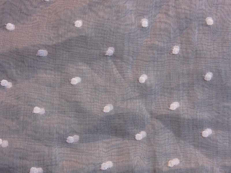 Cotton Embroidered Organdy1