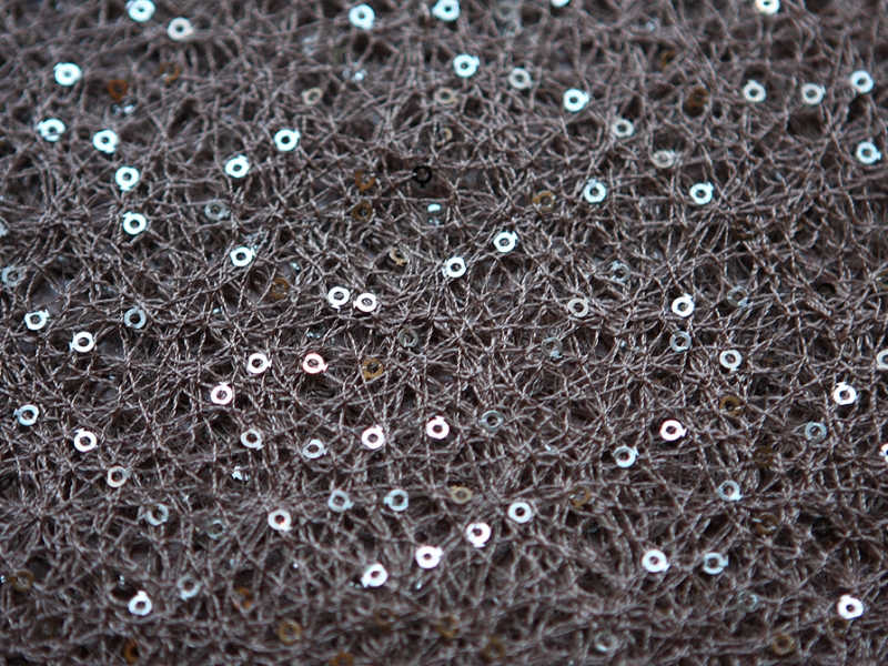 Sequins on Poly Mesh2