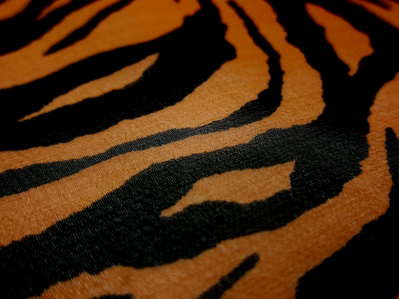 Silk Chiffon in Tiger Print2