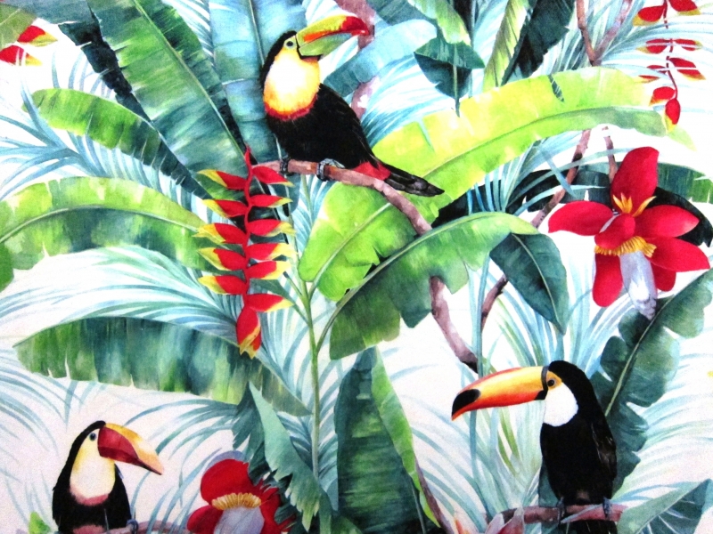 Cotton Canvas Rain Forest Toucans Print0