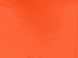 Neon Orange1