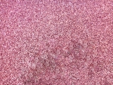 Glitter Canvas in Salmon Pink0