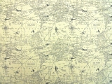 Cotton Canvas World Map Print0