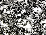 Printed Silk Charmeuse with Black and White Floral Silhouettes0