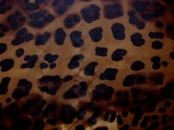 Silk Chiffon in Leopard Print0